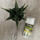 Swatch de Geny_rene : Gel Propolis Purifiant Bio de NaturAloé, NaturAloé