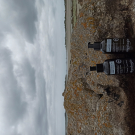 Swatch de Nolrag_sc : Lait Du Jardin Marin - Lait Corps Revitalisant, Algologie