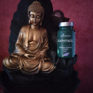 Swatch de lolotte77 : Sommeil, BioEnergies