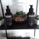 Swatch de mariepascale.vaille : Lait Du Jardin Marin - Lait Corps Revitalisant, Algologie