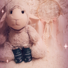 Swatch de SOFIA1089 : Sommeil, BioEnergies