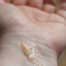 Swatch de Madebybeauties : Gommage Tonifiant, Laboratoire Eferda