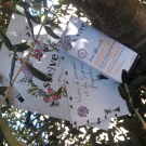 Swatch de Pascaled : Sérum Botanique Bouclier Détox Anti-Oxydant, Saeve