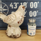 Swatch de Chanchan7 : Sommeil, BioEnergies