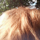 Swatch de Ratatouille888 : SHAMPOO EKOS MURUMURU, Natura