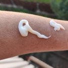 Swatch de Elioli : MARACUJA KÖRPERMILCH EKOS, Natura