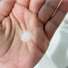 Swatch de Amelieq : Sérum Botanique Bouclier Détox Anti-Oxydant, Saeve