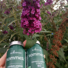 Swatch de Vivi42170 : Sommeil, BioEnergies