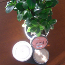 Swatch de îlot007 : Castanha, Ekos