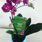 Swatch de Gg59200 : Kératine forte anti-chute, Biocyte