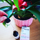 Swatch de Cici22 : Sérum Botanique Purifiant Anti-Imperfections, Saeve