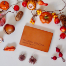 Swatch de Ambredsmdt : Bronze palette - Palette de fards à paupières, Natasha DENONA