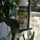 Swatch de Katflo : Shoimpooing, NaturAloé