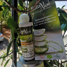 Swatch de Katflo : Shoimpooing, NaturAloé