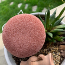 Swatch de WanderlustCéline : Éponges de Konjac Argile Rouge, Le Petit Carré Français