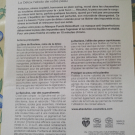 Swatch de Paillettes cosmiques : Le Masque Pureté Détoxifiant, Absolution