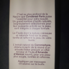 Swatch de Paillettes cosmiques : Fluide raffermissant buste, Condensé Paris