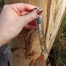 Swatch de Nolrag_sc : Noir délit, VIREVOLTE