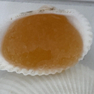 Swatch de Domicgy _beauty_test : Gommage Tonifiant, Laboratoire Eferda