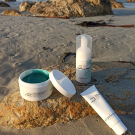 Swatch de Nolrag_sc : Scrub du littoral, Algologie