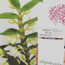 Swatch de Mygtesteuse : Masque de la presqu'île -masque repulpant & redensifiant, Algologie