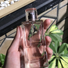 Swatch de MRS.ADB : Comme une Evidence, Yves Rocher