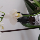 Swatch de kryss93 : Sérum botanique anti âge fermeté, Saeve