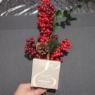 Swatch de Axelle 2 : Poudre compacte bonne mine, Embryolisse