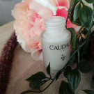 Swatch de Nell07 : Vinoperfect Sérum Éclat Anti-Taches 30ml, Caudalie