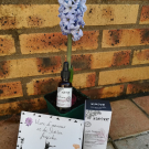 Swatch de Mygtesteuse : Sérum botanique anti âge fermeté, Saeve