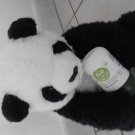 Swatch de Papillon882 : La tête à TOTO, Poupina