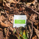 Swatch de musicorum_naturae : MASQUE DÉSINCRUSTANT AU CHARBON ACTIF, Mademoiselle Agathe