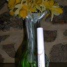 Swatch de cococalvi : Soin Booster Cils et Sourcils de Embryolisse, Embryolisse