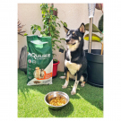 Swatch de martinsemma : Croquettes de volaille riches en ingrédients frais - Moy. /grande taille, équilibre & instinct