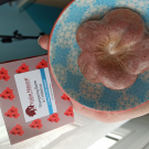 Swatch de Nolrag_sc : Shampooing solide à l'hibiscus, Kalia Nature