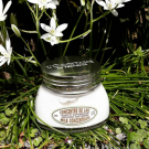 Swatch de Finou62 : Concentré de Lait Amande, L'Occitane