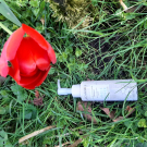 Swatch de LISERON13 : Lait, La Canopée