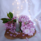 Swatch de skin_carebeaute : Eau de Beaute, CAUDALIE - NUXE - DARPHIN - GARANCIA