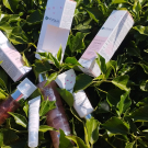 Swatch de yvyv : Gelée d huile démaquillante, Centifolia