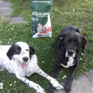 Swatch de Valbry : Croquettes de volaille riches en ingrédients frais - Moy. /grande taille, équilibre & instinct