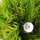 Swatch de Isa0103 : Soin apaisant yeux haute tolérance de Laboratoire SOSkin., Soskin