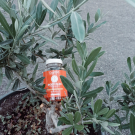 Swatch de lois.fournier07 : Gummies, Laboratoire Oxysud