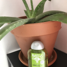 Swatch de Ineschloeevan : Force et Éclat aux Extraits de Pomme et Feuilles d'Olivier, Le Petit Marseillais