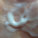 Swatch de Janeee : Pineapple moisture mist, Tropikalbliss