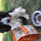 Swatch de jeremy.villpoux24 : Original, Nature & Découvertes