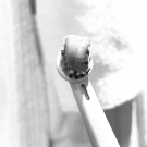 Swatch de Challeguen : Signal White Now, Signal