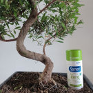 Swatch de Isabelle0538 : Sanex Zero %, Sanex