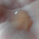 Swatch de Janeee : Gel d'aloe Vera bio, Centifolia