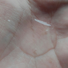 Swatch de Janeee : Shampoing régénérateur au tea tree, Desert Essence