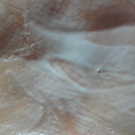 Swatch de Janeee : Gel moussant purifiant, Dermina